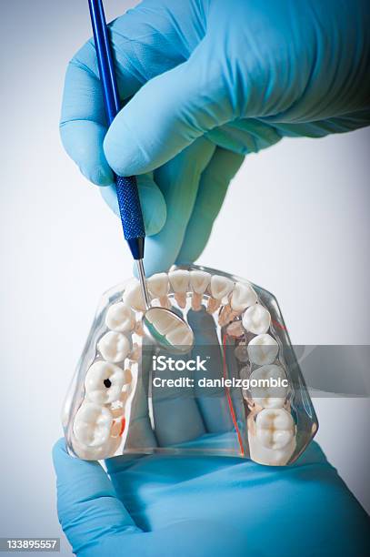 Photo libre de droit de Modèle Plastique Dents banque d'images et plus d'images libres de droit de Anesthésique - Anesthésique, Artificiel, Blanc