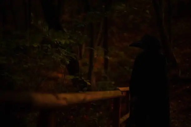 Photo of creepy hellish creature plague doctor silhouette in the dark mystic night forest, Halloween concept photography with unfocused person noise pollution