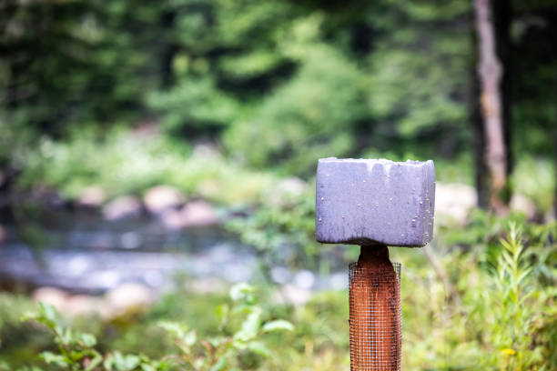 Close-up of salt block for hunting season. These blocks are used for deers, Moose, etc..