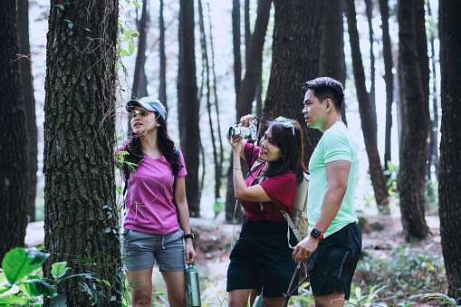 young researchers  examine plants  in the forest.
