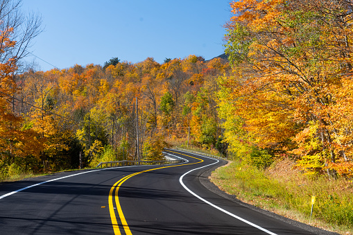 Trees with autumn leaves line this scenic route through the Adirondack Mountains in New York, USA.