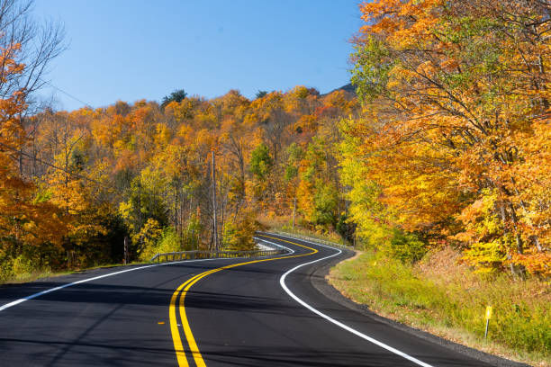 Winding Road on Sunny Autumn Day in the Adirondack Mountains Trees with autumn leaves line this scenic route through the Adirondack Mountains in New York, USA. empty road with trees stock pictures, royalty-free photos & images