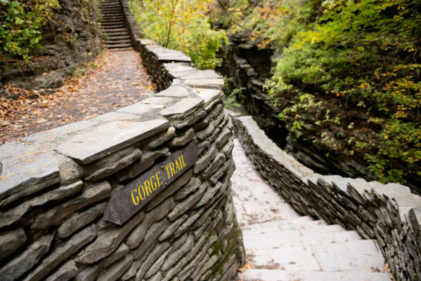 Steps Descending on Gorge Trail in Watkins Glen State Park in New York Stone steps descend to Gorge Trail in Watkins Glen State Park in New York, USA. watkins glen stock pictures, royalty-free photos & images