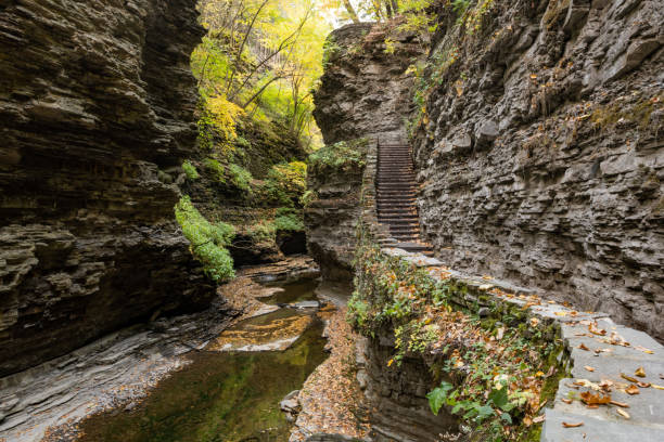 Stone Hiking Trail in Watkins Glen State Park in New York Stone steps on Gorge Trail in Watkins Glen State Park in New York, USA. watkins glen stock pictures, royalty-free photos & images