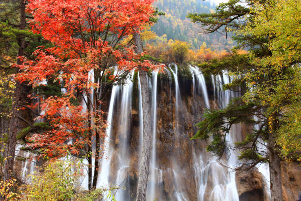 cachoeira de jiuzhai, china - huanglong - fotografias e filmes do acervo