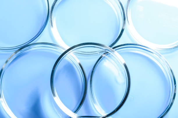 Hand holding petri dish with  fluid