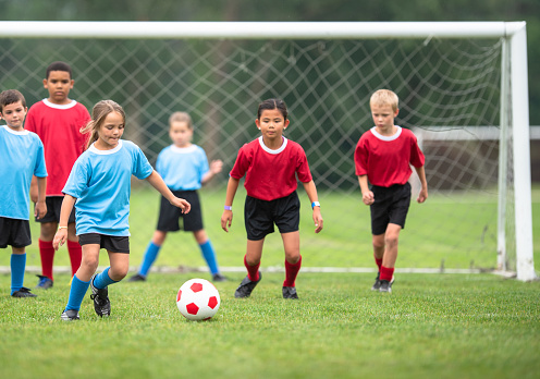 A diverse group of elementary age children are playing a friendly soccer match on the field. They are dressed in red and blue jerseys. They are chasing after the soccer ball.