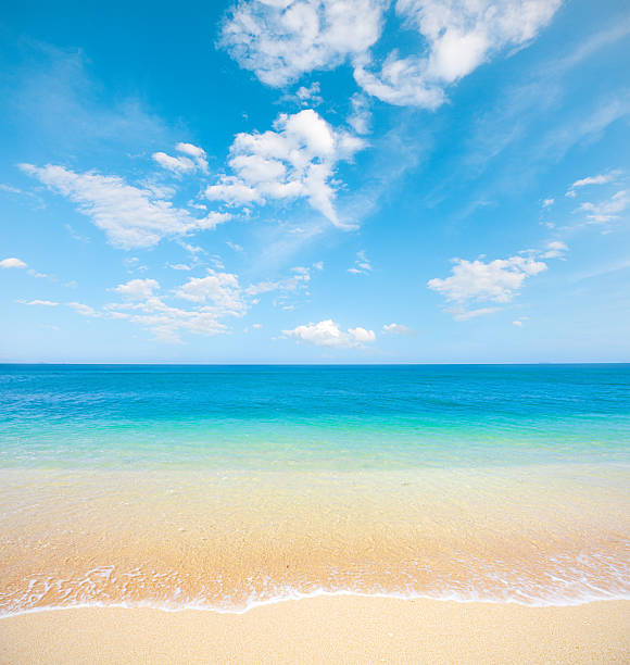 istock beach and tropical sea 133896673