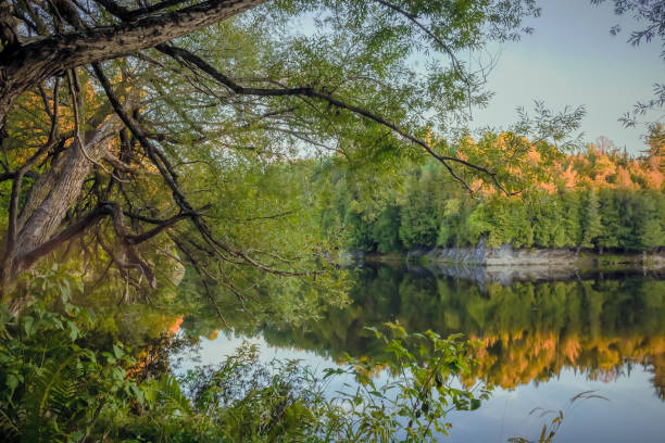istock vibrant light river landscape nature beauty sunlight trees and water 1338974332