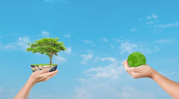istock Hand holding globe earth and tree on sky nature background. Eco earth day concept. 1338978882