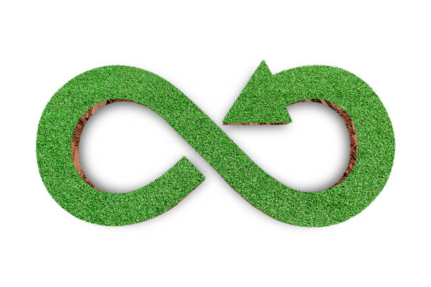 istock Green grass arrow icon isolated on white background. ecological concept. 1338979010