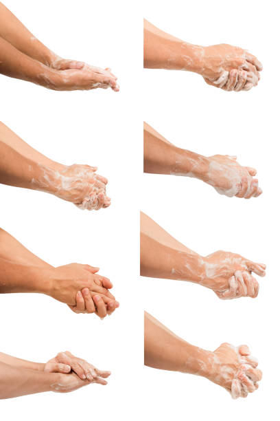 istock Collection of hand washing isolated on white background. 1338979654