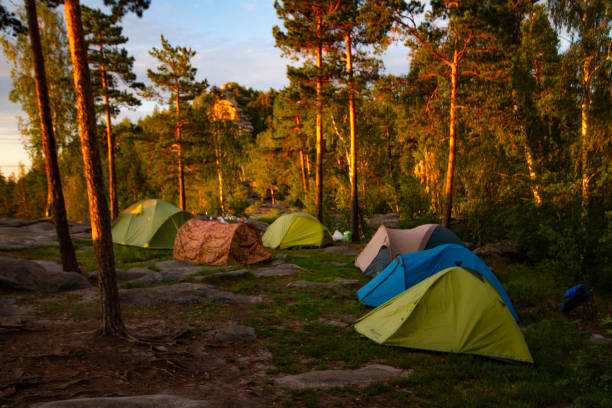 istock Tourist camp in the mountains 1338979880