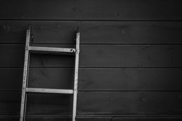 A ladder rests against a wood paneled home. Black and White