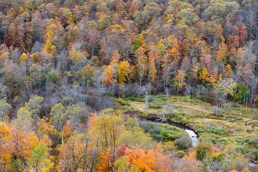 This is a scenic view of Pine Creek Gorge in autumn from Leonard Harrison State Park in Pennsylvania, USA.
