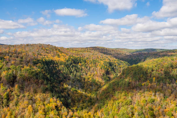 istock Scenic View from Leonard Harrison State Park in Pennsylvania in Autumn 1338981482