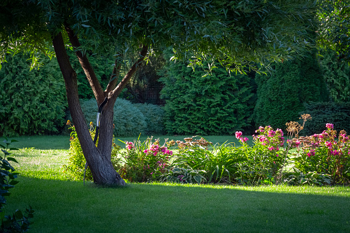 A beautiful flower bed in the backyard of a private house.