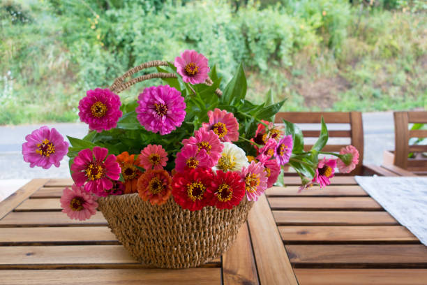 Beautiful Zinnia Flowers in Basket