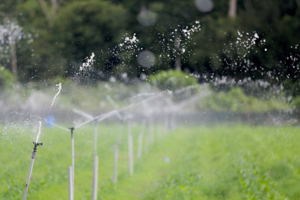 istock Agriculture Sprinkler 1338987883
