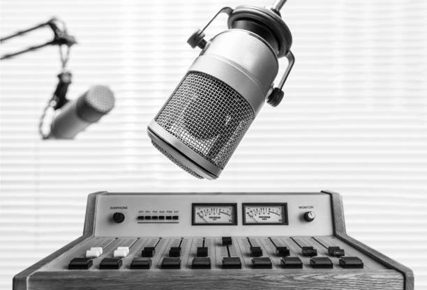 Professional microphone and sound mixer