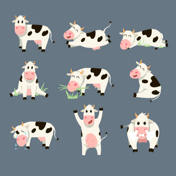 ilustraciones, imágenes clip art, dibujos animados e iconos de stock de conjunto de divertida vaca manchada sobre fondo gris - cartoon cow cute vector