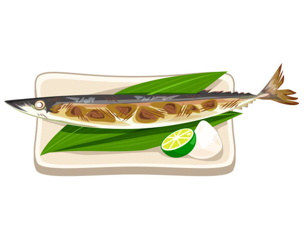 ilustrações de stock, clip art, desenhos animados e ícones de grilled saury on the plate.autumn taste icon illustration , vector imag - radish white background vegetable leaf