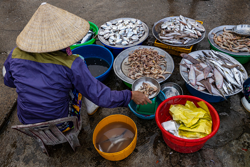 Hoi An, Quang Nam, Vietnam - December 15, 2019: People on the fish market at the harbor of Hoi An in Vietnam