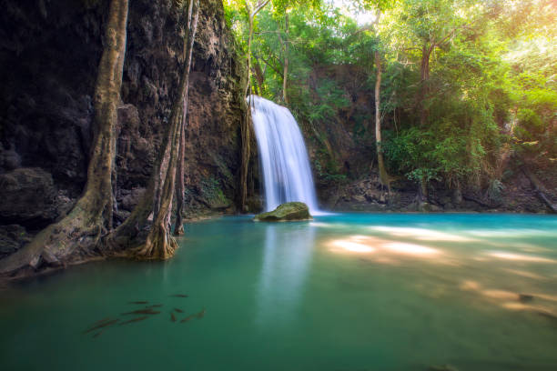 istock Erawan Waterfall Kanchanaburi Province Thailand. 1338993250