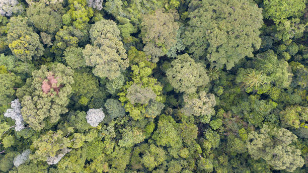 istock Aerial View of Rural Town 1338993317