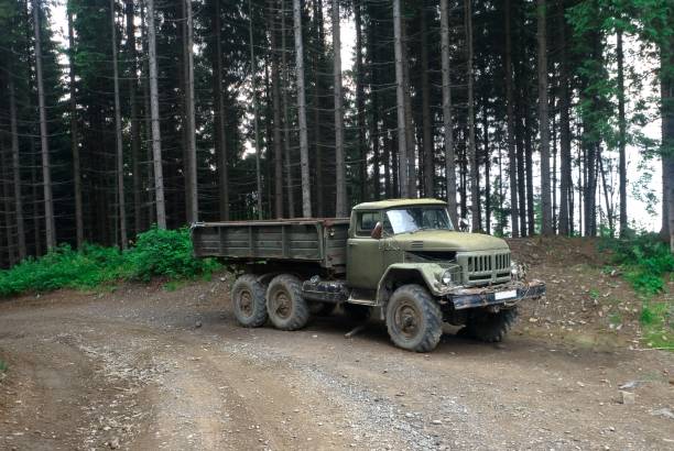 istock truck on a forest road 1338993552