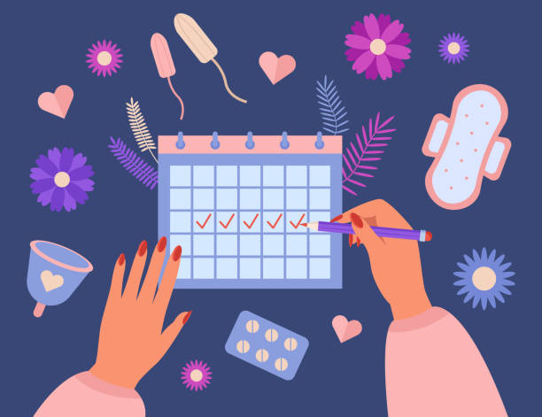 ilustraciones, imágenes clip art, dibujos animados e iconos de stock de manos de la mujer que rastrean el período en el calendario de la menstruación - ovulation