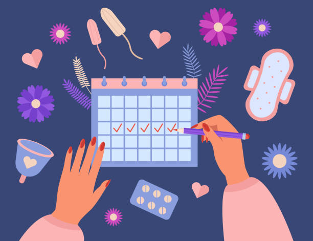 Hands of woman tracking period in menstruation calendar Hands of woman tracking period in menstruation calendar. Girl with menses, menstrual cup, pills from menstrual pain, pads and tampons flat vector illustration. Menstruation, health concept for banner menses stock illustrations