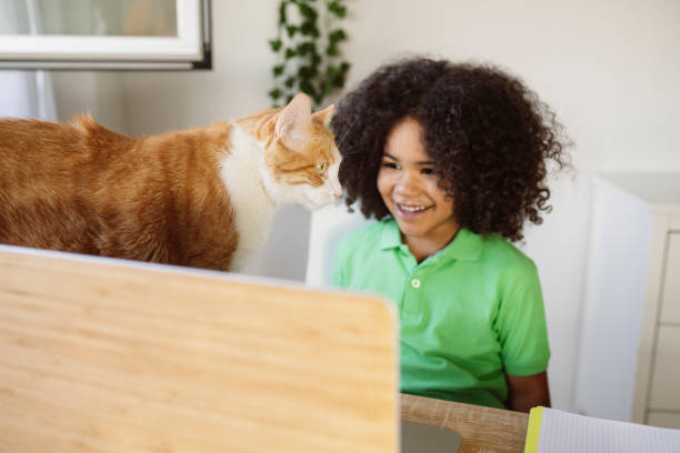 istock handsome little boy with computer and cat at home 1338999427