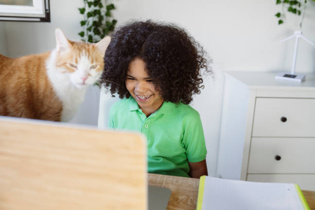 istock handsome little boy with computer and cat at home 1338999442