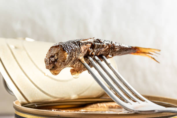 Open can of tinned sardines, Sprats fish carcasse on inox fork above metal jar, smoked herring. close up shallow dof