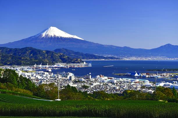 istock My.fuji and tea farm from Shizuokacity 1339003187