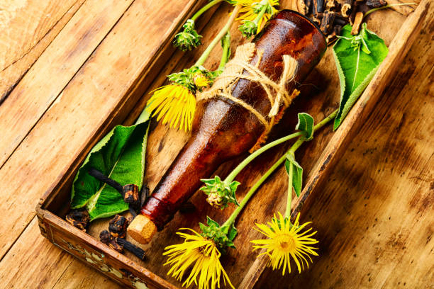 Elecampane root tincture Healing tincture or mixture of elecampane roots. Elecampane in herbal medicine. Wild medicinal herbs inula stock pictures, royalty-free photos & images