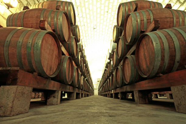 istock Wine Cellar with Wooden Barrels 1339010319