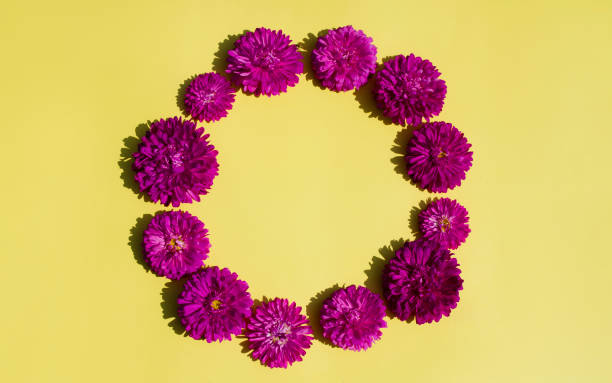 istock circle of pink flowers 1339011784