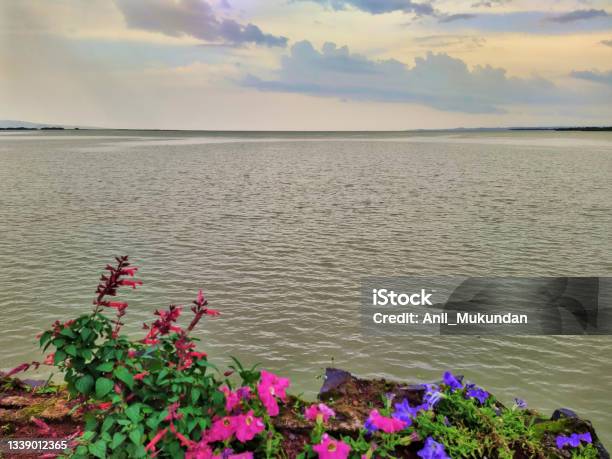Lake Tana At Dusk Bahir Dar Ethiopia Stock Photo - Download Image Now - Africa, Color Image, Dusk