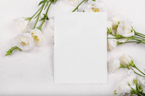 istock empty card mockup with blooming white eustoma lisianthus flowers 1339014219