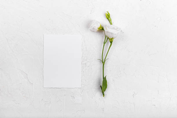 istock empty card mockup with blooming white eustoma lisianthus flowers 1339014223