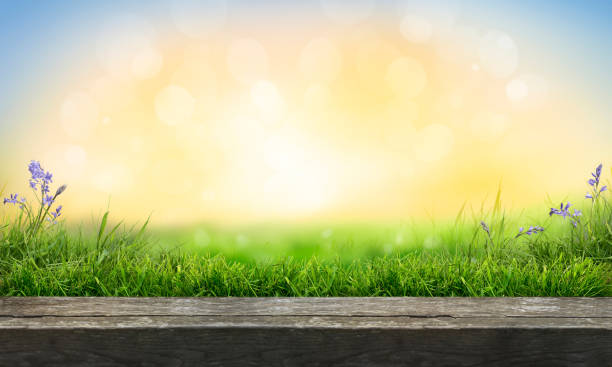 istock A wooden table top product display with a fresh summer sunny sky 1339018662