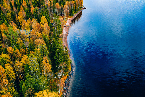 Aerial view of yellow and orange autumn forest with  cottage and wooden pier by blue lake.