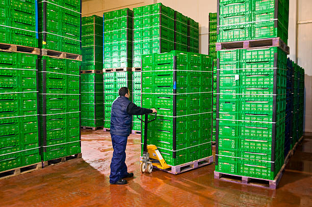 Man moving pallet of green fruit storage crates worker working with pallet truck in storage cold storage stock pictures, royalty-free photos & images