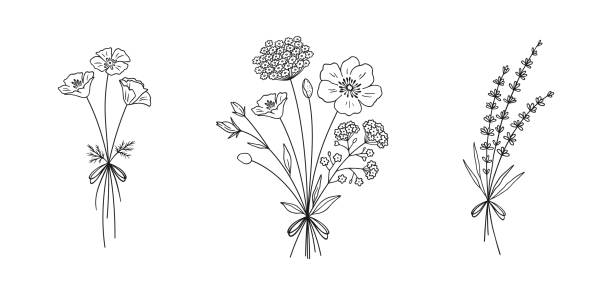 Floral line art bouquets set, vector illustration. Wildflower line art bouquets set. Hand drawn poppy, lavender, other wild plants. Meadow flowers, herbs for design projects. Vector illustration. bunch of flowers stock illustrations
