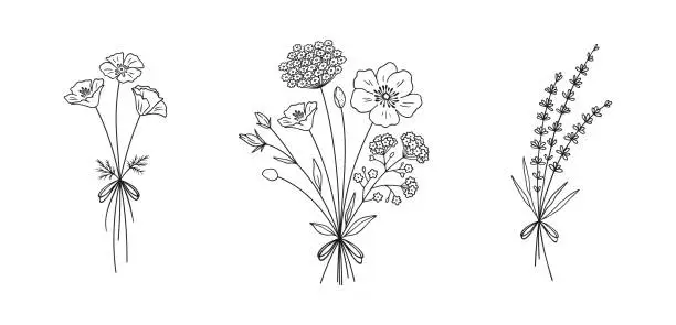 Vector illustration of Floral line art bouquets set, vector illustration.