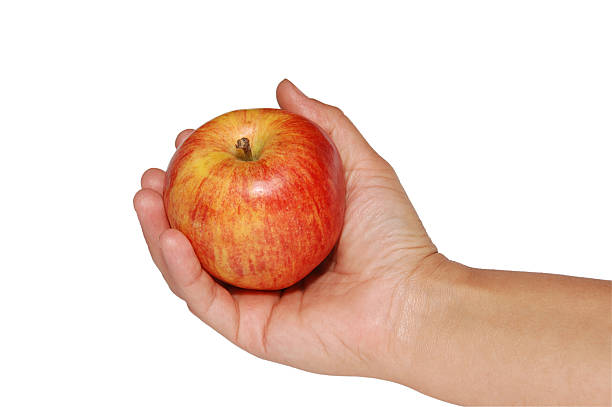 레드 사과나무 있는 여자 손 - red delicious apple nature concepts and ideas food and drink 뉴스 사진 이미지