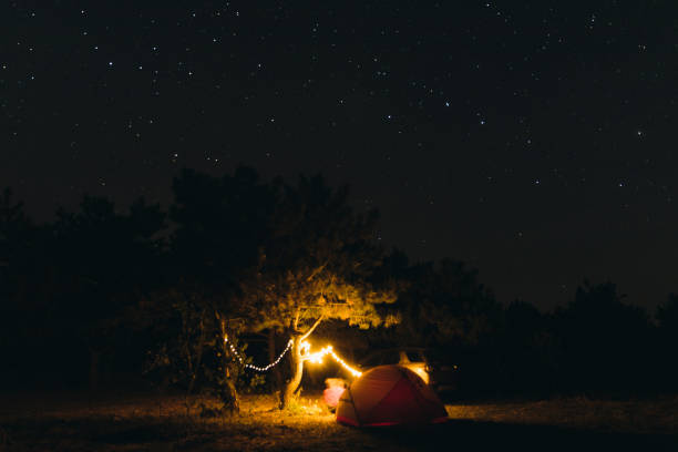 View pop the red tent, camping lights, the tree and the starry sky during warm autumn night outdoors