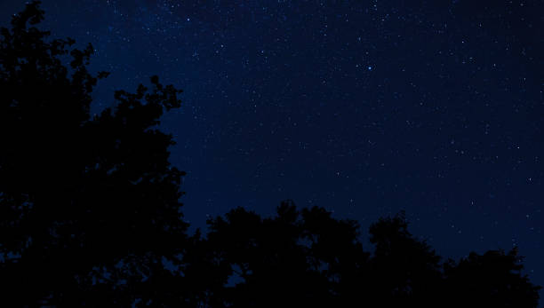istock Stars over a tree line in North Carolina with room for copy 1339036854